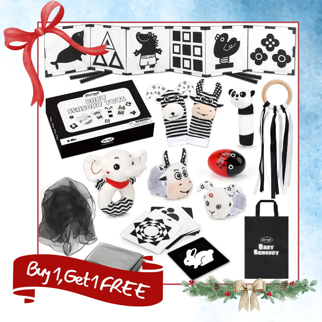Black & White Sensory Toys for Newborns 0-6M 