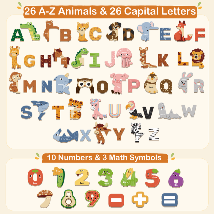 65PCS Fridge Magnet Letters &amp; Magnetic Letters for Board