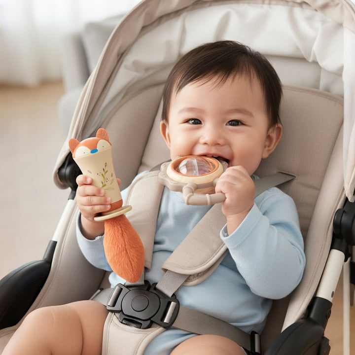 Teething Toys for Babies 0-6 Months