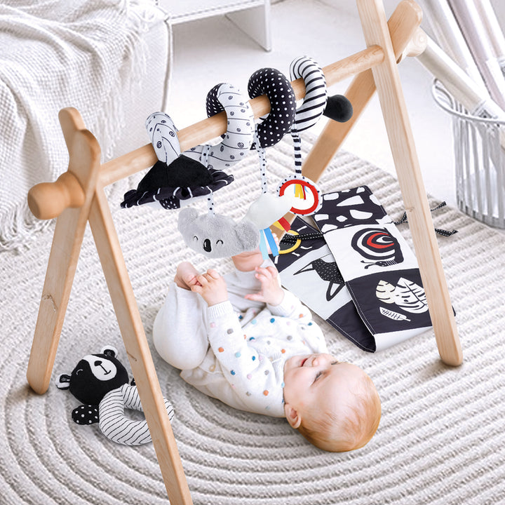 Joyreal High Contrast Baby Toys for Newborn, Black and White Baby Sensory