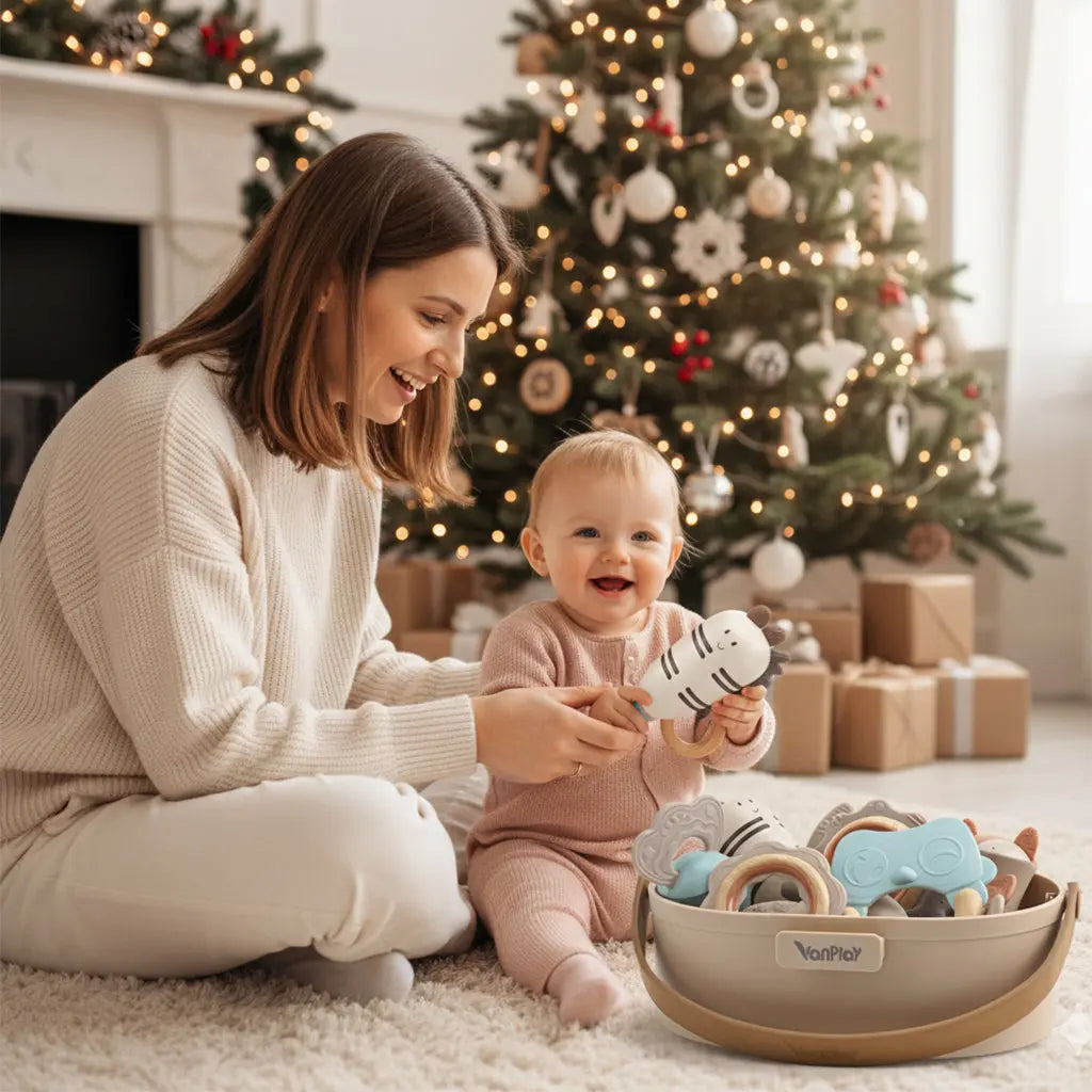 Teething Toys for Babies 0-6 Months 