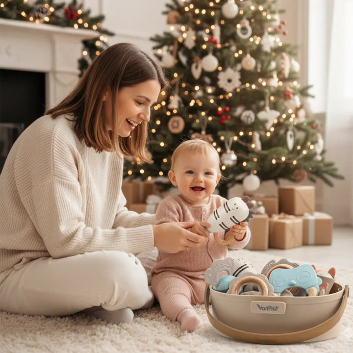 Teething Toys for Babies 0-6 Months 