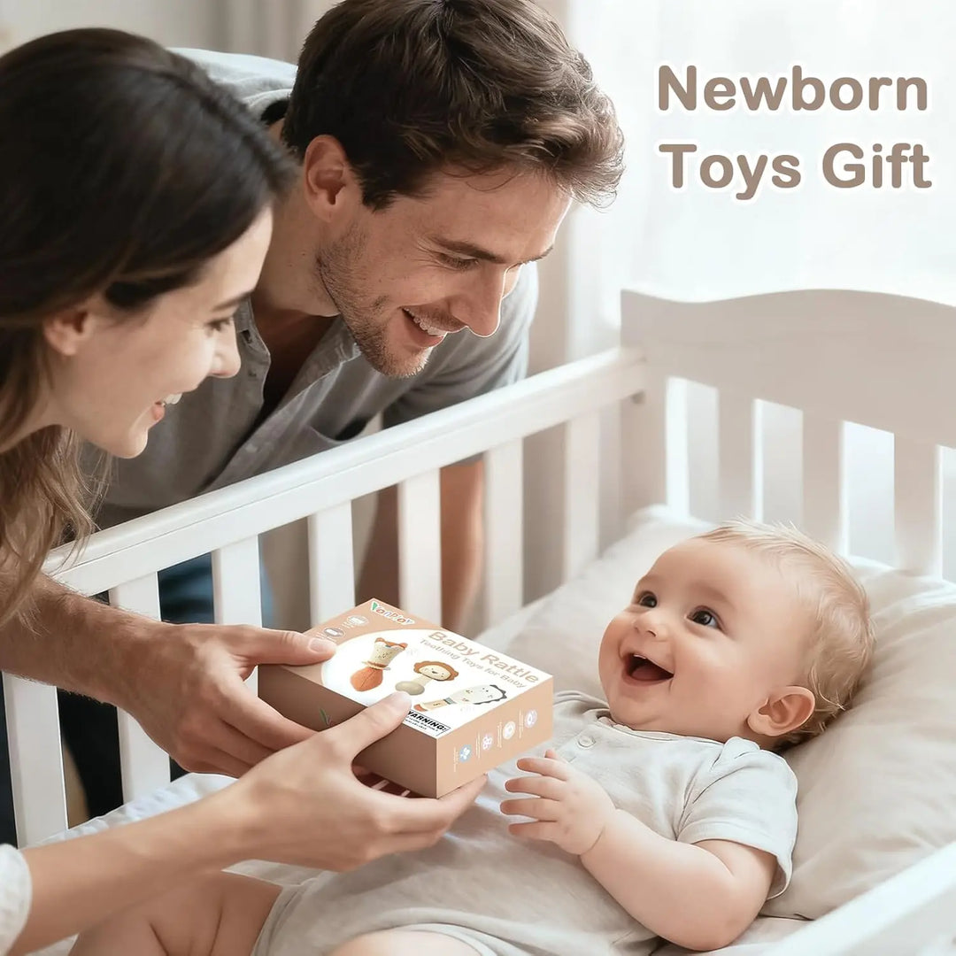 Baby Rattles and Teething Toys Set for Newborns 0–6 Months 