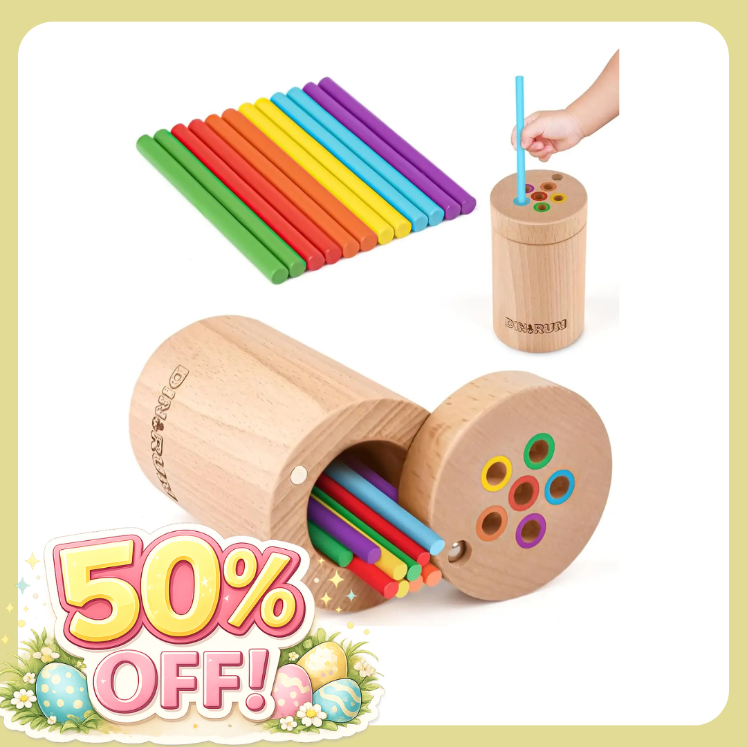 Wooden Color Matching Toy 