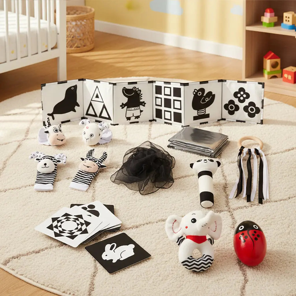 Black & White Sensory Toys for Newborns 0-6M 