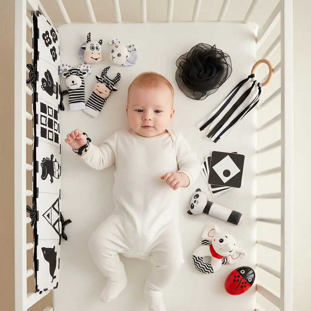 Black & White Sensory Toys for Newborns 0-6M 