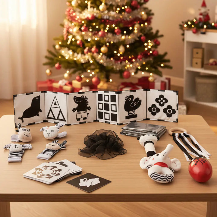 Black & White Sensory Toys for Newborns 0-6M 