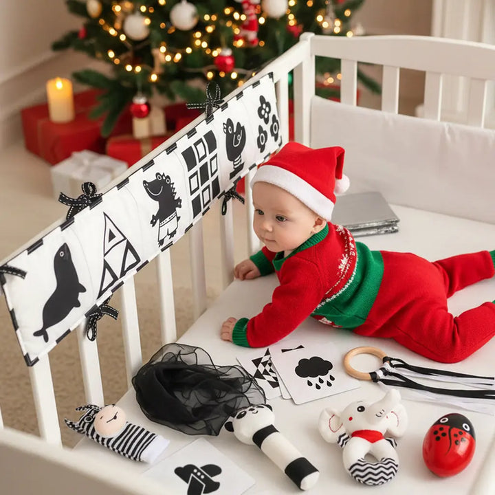 Black & White Sensory Toys for Newborns 0-6M 