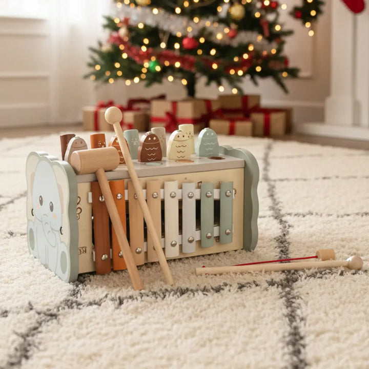 Xylophone and Fishing Game Sensory Set for Kids 